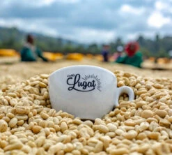 1 Kg Café En Grain Le Dark'n Sweet - Cafés Lugat -Boutique De Café cafeengraincafeslugatmarque