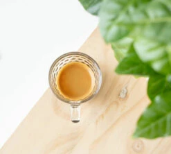 1kg Café En Grain Bio Mélange Savanah - GREEN LION COFFEE -Boutique De Café cafeengraingreenlioncoffeeexpresso 3