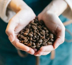 Café En Grains Brûlerie Du Cantin - Mélange Dégustation 100% Arabica - 250gr -Boutique De Café lifestyle grain 2